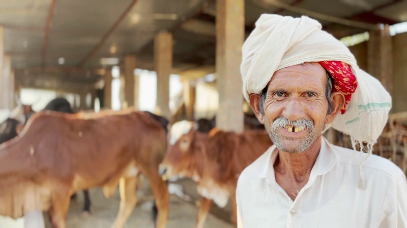Strengthening Dairy Farming and Sustainable Agriculture through Knowledge-Sharing and Collaborative Initiatives
